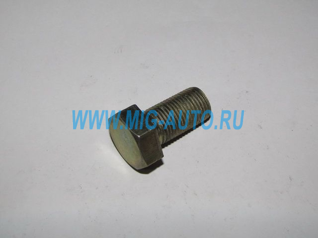 Болт М16х 30 на мкд 6520 1/42577/31