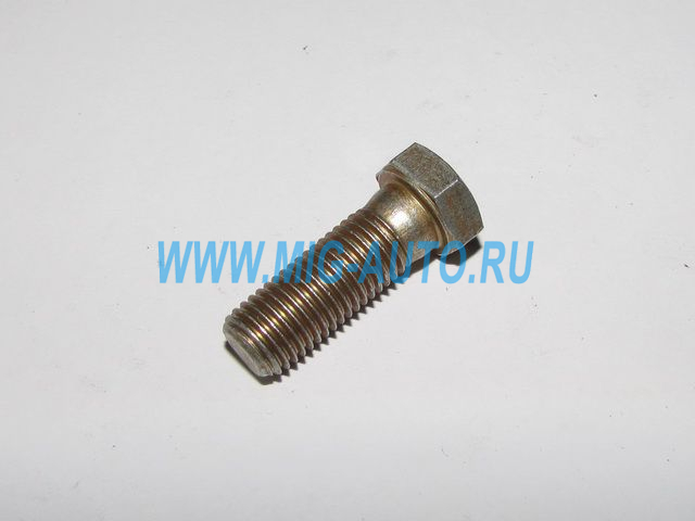 Болт 10х 28 870014