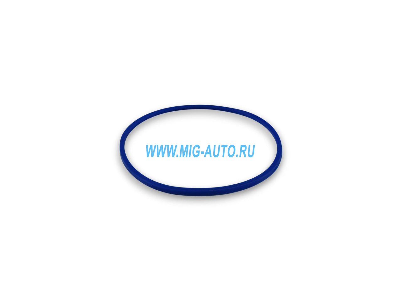 Кольцо уплотнительное (на помпу) синие 740-1307075