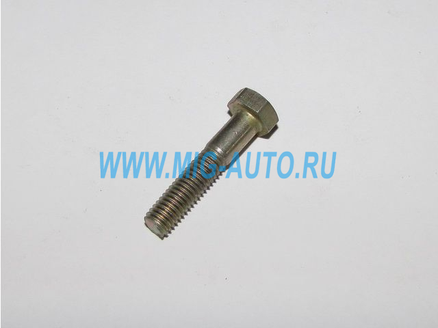 Болт М 6х30 1/09028/21