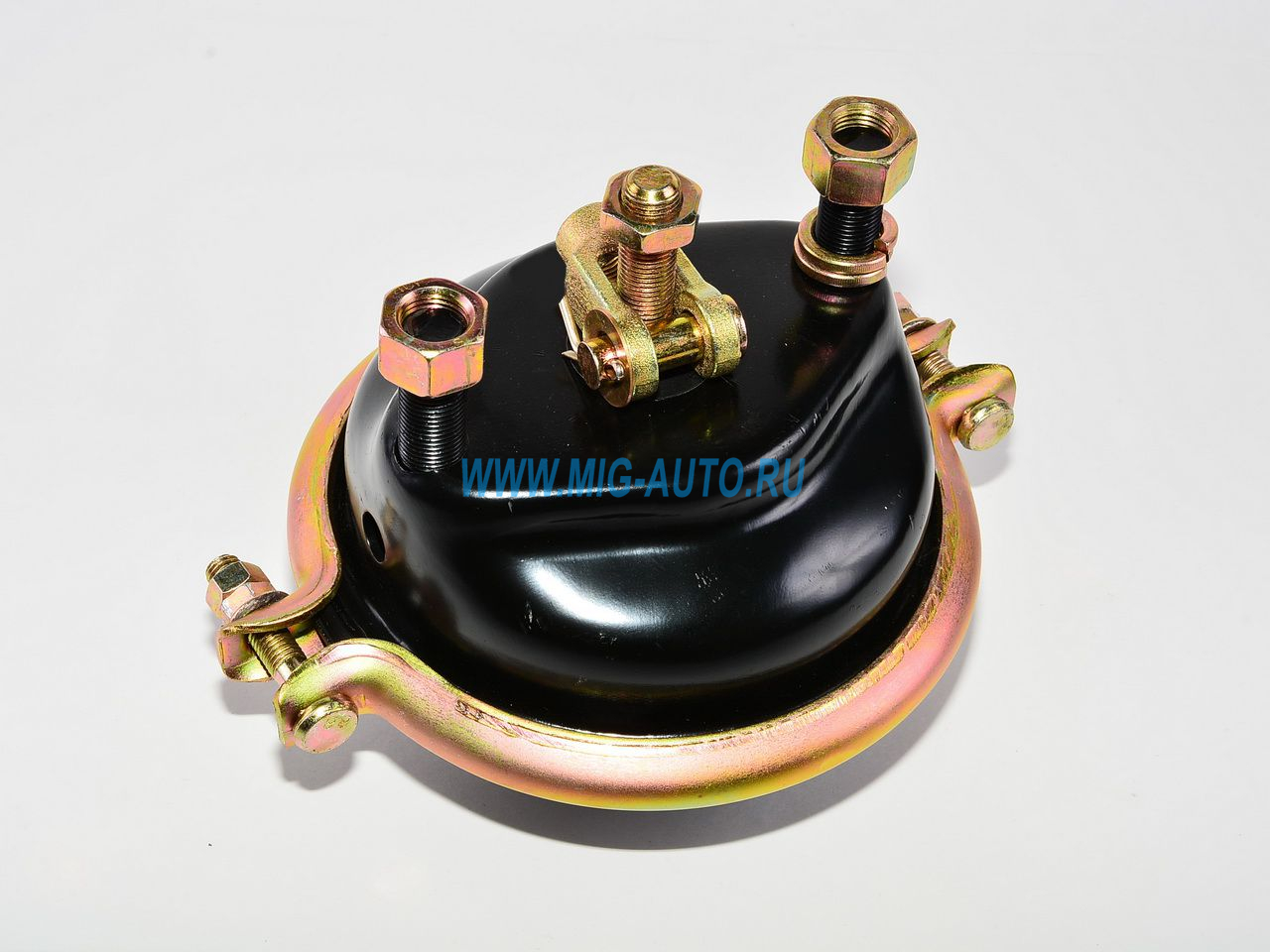 Камера тормозная передняя (тип20) / аналог 100-3519110