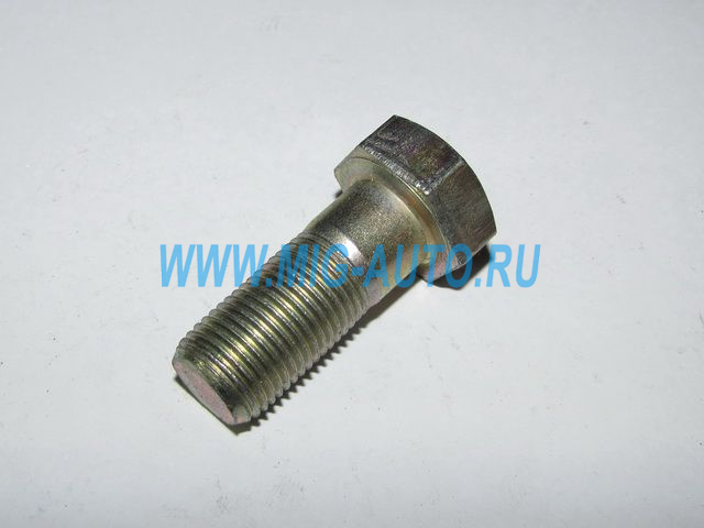 Болт М16х 40 1/13905/21