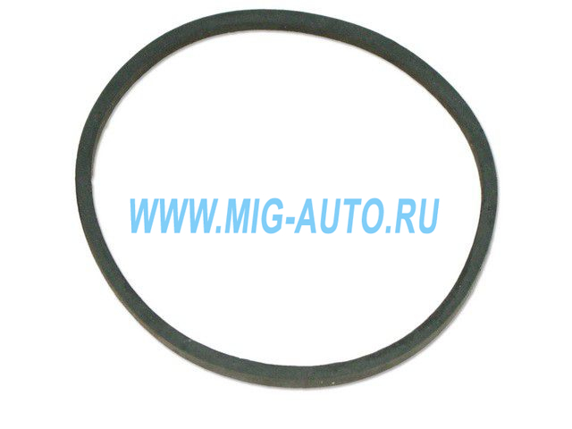 Кольцо топливного фильтра 740-1117118