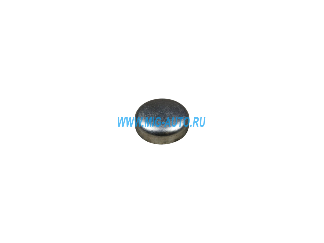 Заглушка штоков D25 / ПАО КамАЗ 1/43289/01