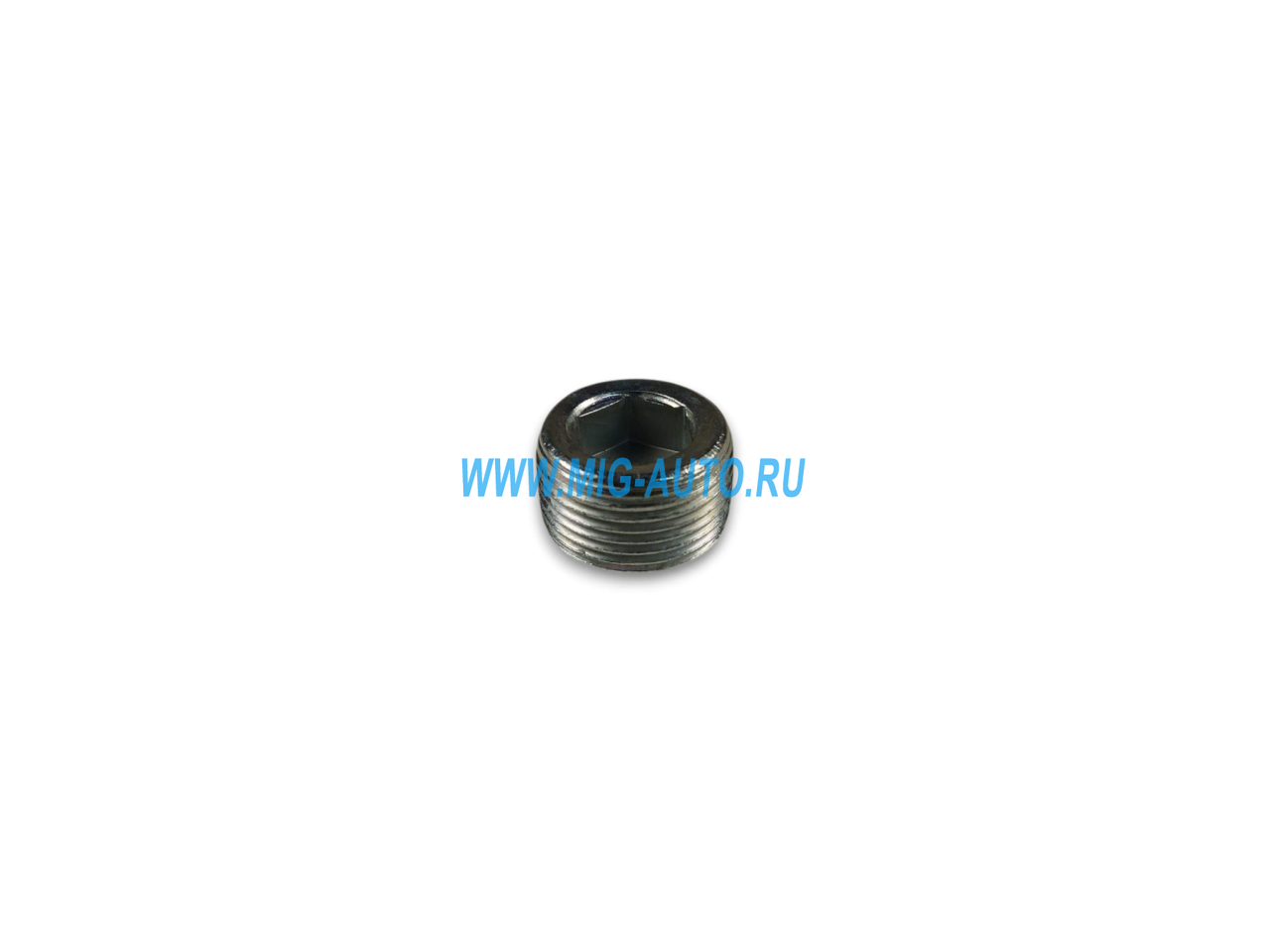 Пробка М22х1,5 резьбовая 1/43253/01