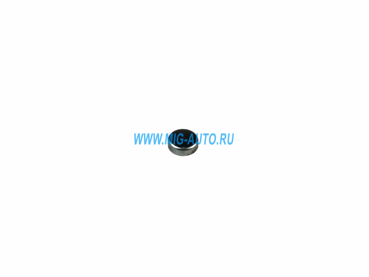 Заглушка ГБЦ D=22.5 / аналог С3920706/5263672