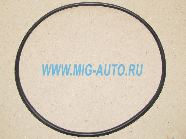 Кольцо уплотнительное (на помпу) 740-1307075