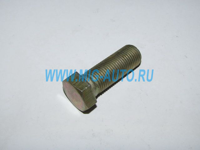 Болт М16х 45 1/13915/21