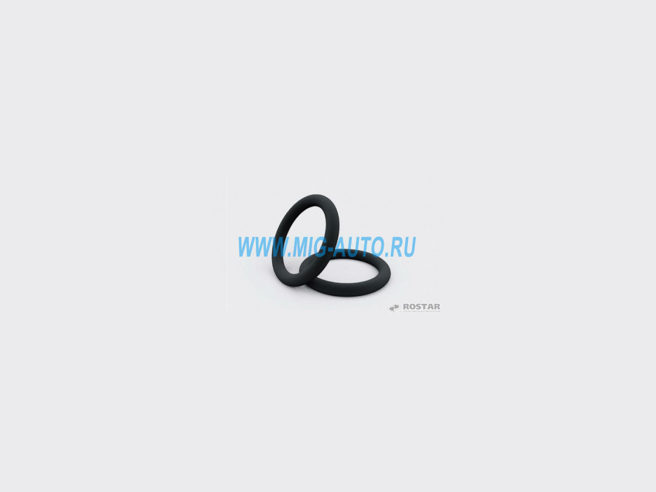 Кольцо уплотнительное тормозных трубок / РОСТАР 864273