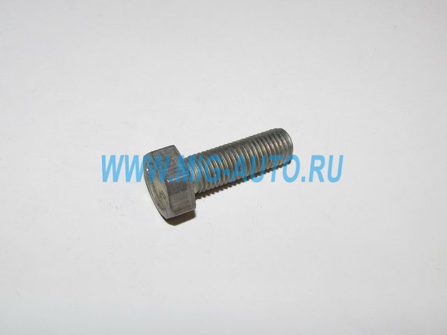 Болт М10х 30 / Технотрон 1/13069/21