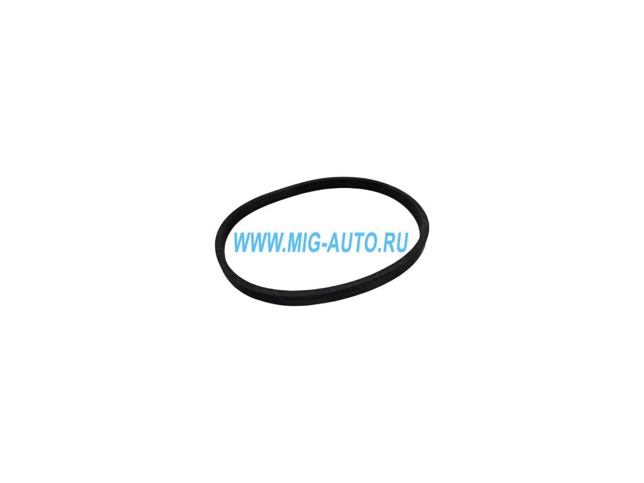 Кольцо топливного фильтра 740-1117118