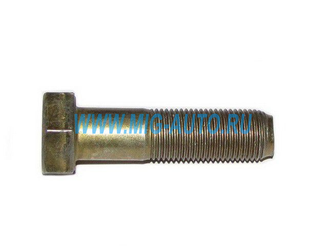 Болт М16х 60 / Технотрон 1/59811/21