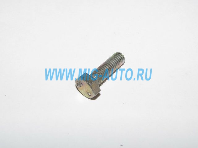 Болт М 6х20 планки масляного радиатора 1/09024/21