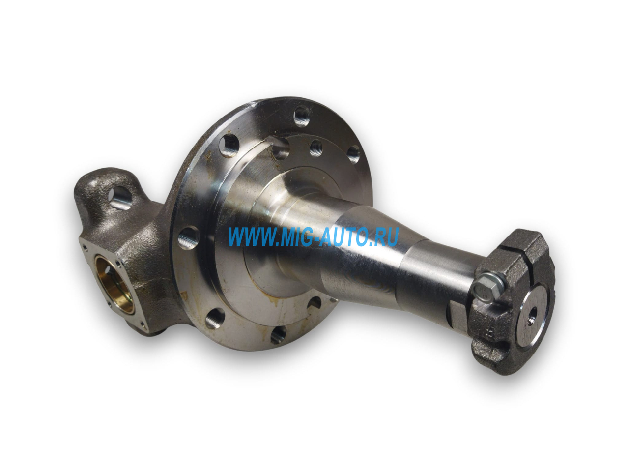 Кулак поворотный 6520 / ПАО КамАЗ 6520-3001009